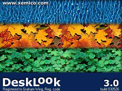 DeskLook 3.0 Logo