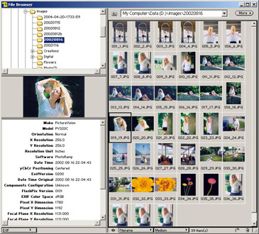 adobe photoshop elements 2.0 free download full version
