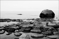 Black and White conversion using new Convert To Black and White Option