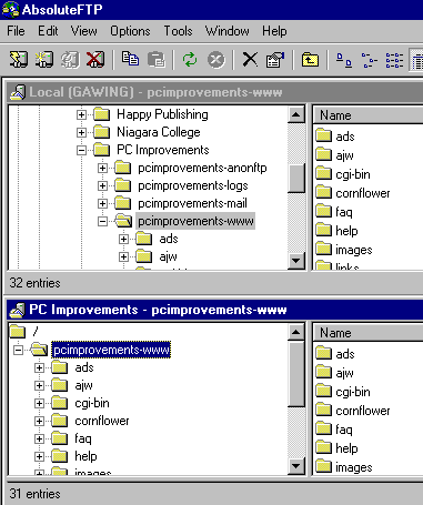 Single Server layout of AbsoluteFTP